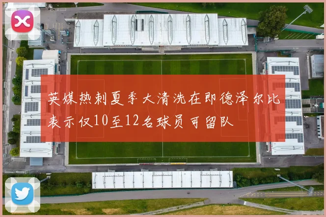 英媒热刺夏季大清洗在即德泽尔比表示仅10至12名球员可留队
