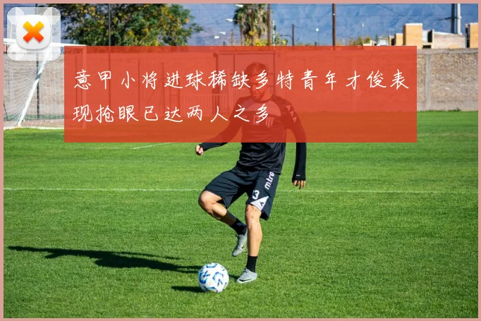 意甲小将进球稀缺多特青年才俊表现抢眼已达两人之多